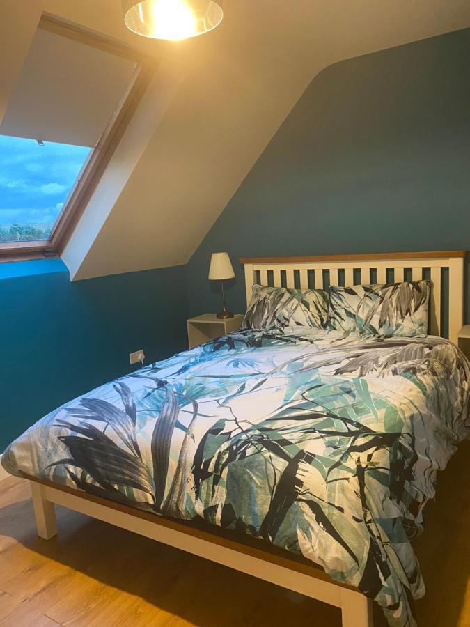Scarr View 1St Floor Apartment A98W710 Уиклоу Екстериор снимка