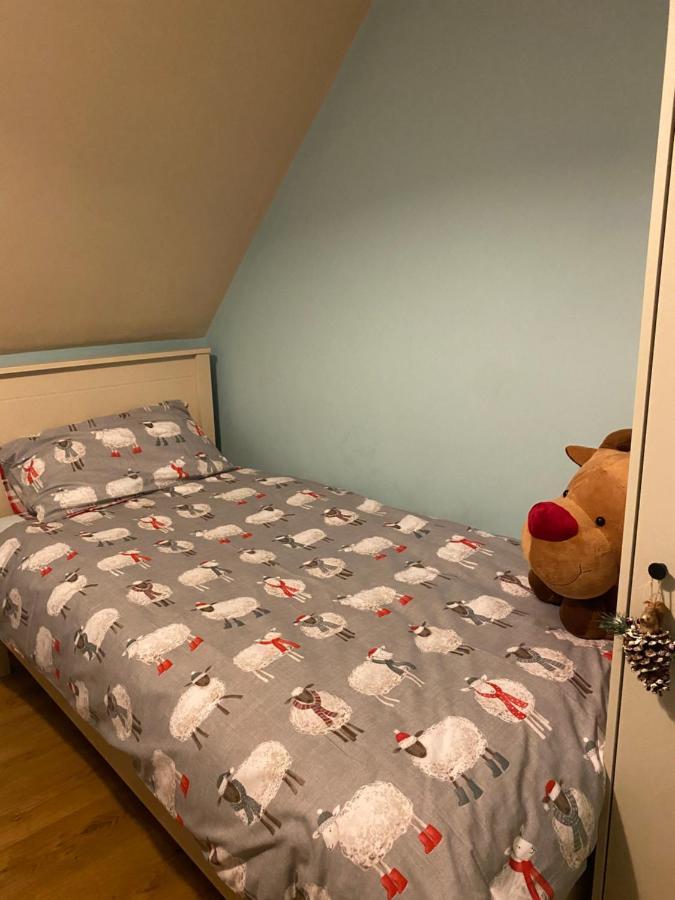 Scarr View 1St Floor Apartment A98W710 Уиклоу Екстериор снимка